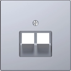 MTN4522-6036 MERTEN D-Life ЦЕНТРАЛЬНАЯ НАКЛАДКА для розетки 2-ной RJ45, НЕРЖ. СТАЛЬ
