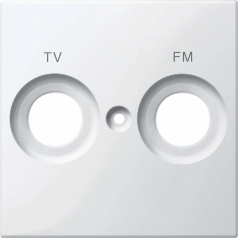 MTN299919 ЦЕНТ.ПЛАТА С МАРКИРОВКОЙ FM И TV ПОЛ-БЕЛ фото 1